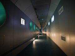 -白鹤梁水下博物馆