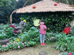 -杭州少年儿童公园