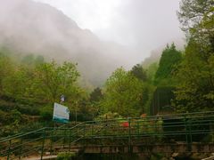 -藏龙百瀑风景区