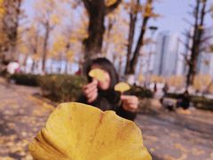 -百林公园-两江幸福广场