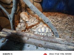 -泉州海丝野生动物世界