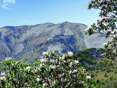-秦岭终南山世界地质公园翠华山景区