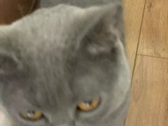 -陈记柳州螺蛳粉(大坪店)