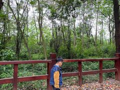 -白鹭湾湿地公园