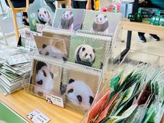 -熊猫邮局(少城店)