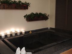 -春晖园度假酒店温泉