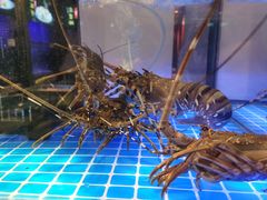 -珍宝轩海鲜火锅(碧湖大厦店)