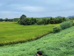 -良渚古城遗址公园
