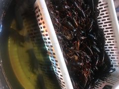 -拙味兄弟龙虾(新香洲店)