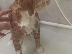 -沐沐家宠物(成寿寺店)