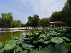 -丰台花园