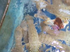 -万福缘海鲜家常菜