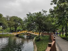 -晓港公园