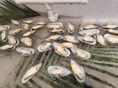 -蓝珊甄选海鲜自助·火锅大排档(近阿那亚店)