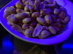 -MOSSO德国餐厅·音乐酒吧(环宇荟店)