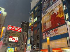 -秋叶原电器街