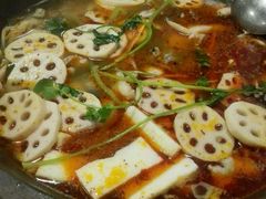 -鸭嘴鱼