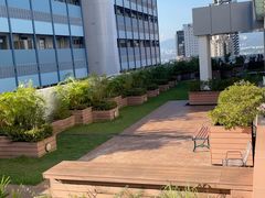 -香港大学