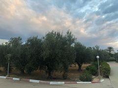 -Restaurant L'Escale da Vittorio