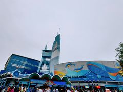 -海合安青岛极地海洋公园