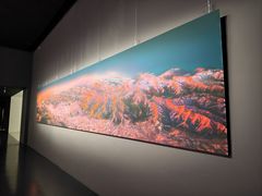 -罗红摄影艺术馆