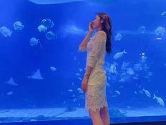 -烟台海昌鲸鲨海洋公园