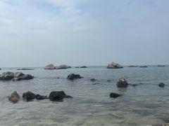 -养马岛旅游度假区