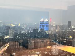 -上海龙之梦万丽酒店