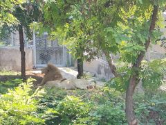 -石家庄市动物园