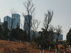 -桂溪生态公园