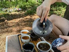 -武陵山森林公园