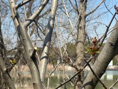 -昆山城市生态森林公园