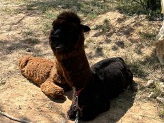 -山西乌金山旅游区