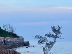 -众品老方子锅贴甜沫(李村店)