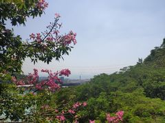 -东部华侨城