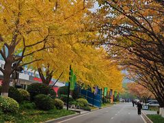 -城市运动公园(未央区)
