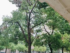 -武汉市武珞路中学