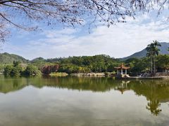 -深圳仙湖植物园