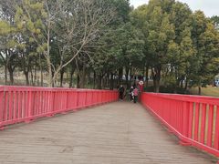 -美兰湖景区