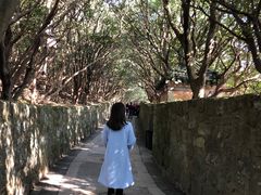 -普陀山慧济禅寺