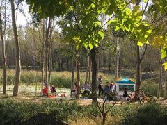 -东郊湿地公园