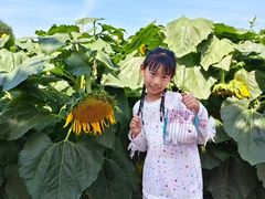 -长春农业博览园