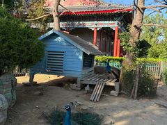-有喜胶东小馆(太申祥和店)