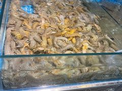 -渡海小渔村.老辈日照菜