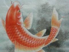 -亿尾水席(奥体中心店)