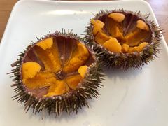 马粪海胆-海胆小馆(东北水饺·春柳店)