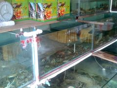 大闸蟹-芸海阁·农家私房菜(沙家浜景区出口店)