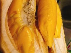 -都念榴莲·城市榴莲