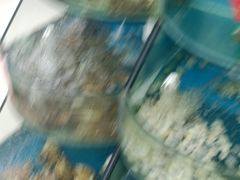 -聚德福海鲜家常菜(刘庄店)