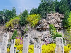 -徐州龟山景区